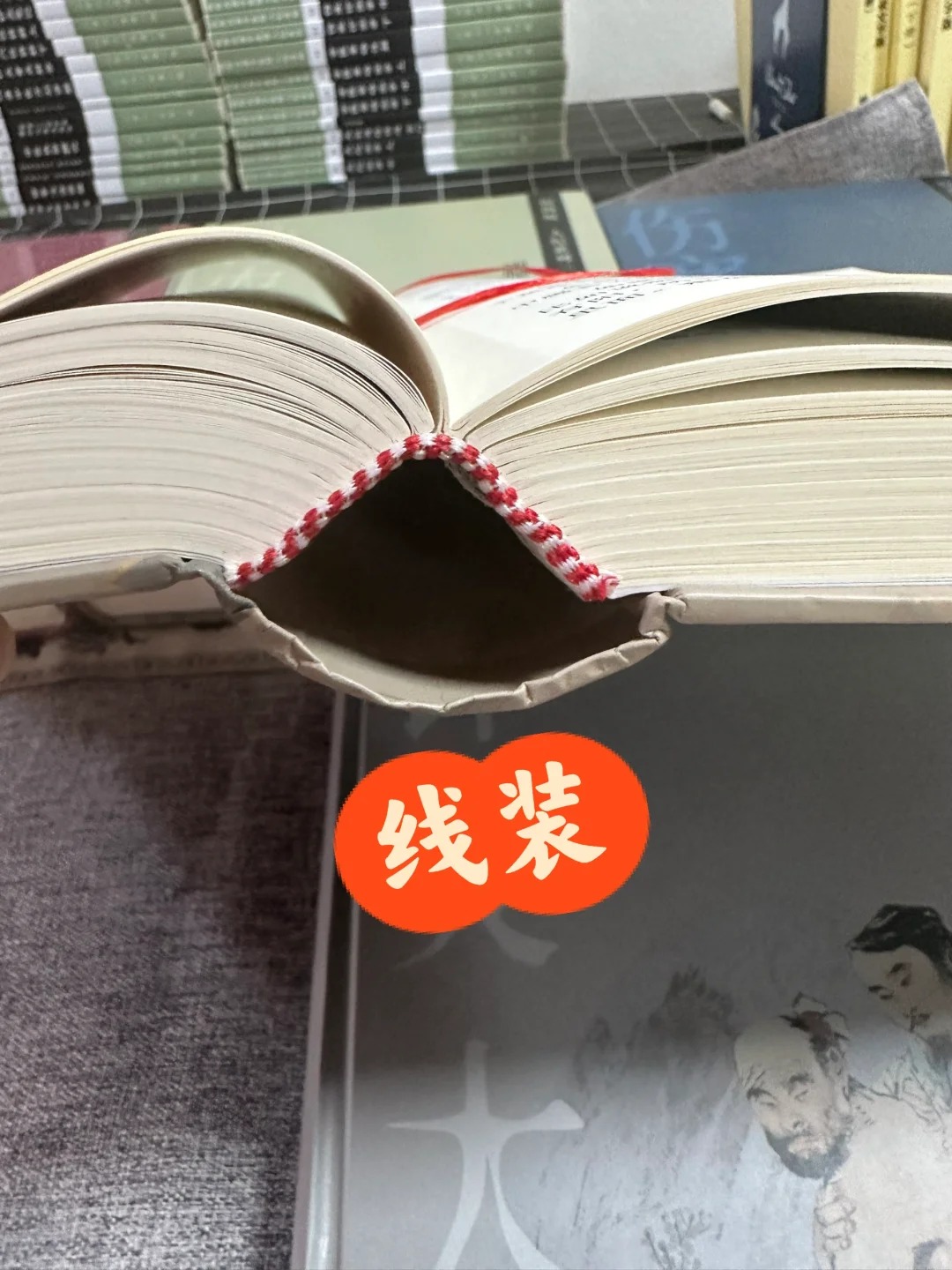 倪海厦人纪5本彩色书籍2024新版教材